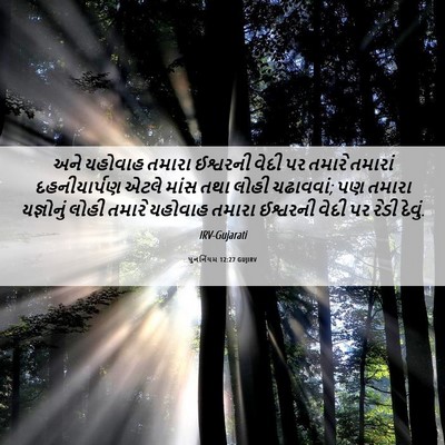Picture 06 - પુનર્નિયમ 12:27 GUJIRV - અને યહોવાહ તમારા - Bible Verse Picture