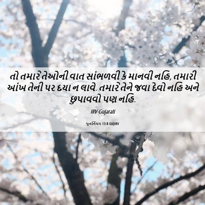 Picture 06 - પુનર્નિયમ 13:8 GUJIRV - તો તમારે તેઓની વાત - Bible Verse Picture