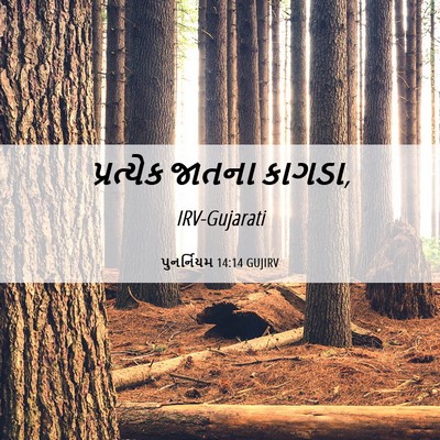 Picture 06 - પુનર્નિયમ 14:14 GUJIRV - પ્રત્યેક જાતના - Bible Verse Picture