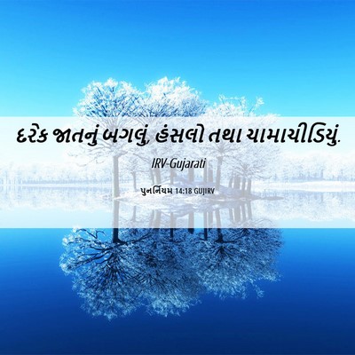 Picture 06 - પુનર્નિયમ 14:18 GUJIRV - દરેક જાતનું બગલું, - Bible Verse Picture