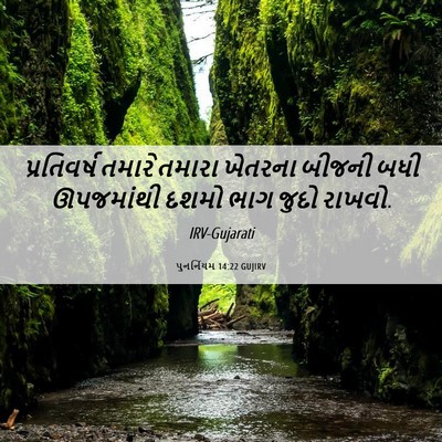 Picture 06 - પુનર્નિયમ 14:22 GUJIRV - પ્રતિવર્ષ તમારે - Bible Verse Picture