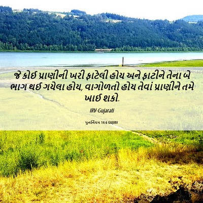 Picture 06 - પુનર્નિયમ 14:6 GUJIRV - જે કોઈ પ્રાણીની - Bible Verse Picture