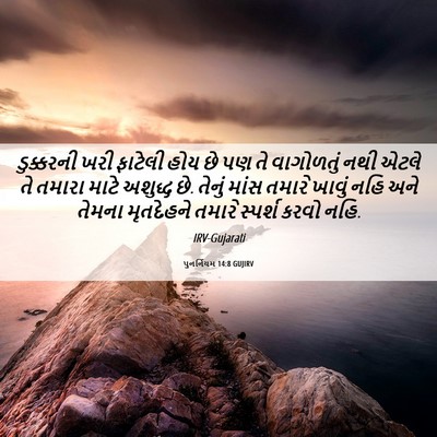 Picture 06 - પુનર્નિયમ 14:8 GUJIRV - ડુક્કરની ખરી - Bible Verse Picture