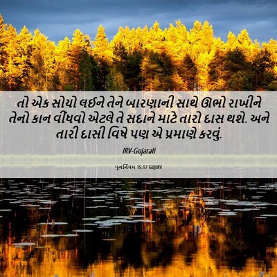 Picture 06 - પુનર્નિયમ 15:17 GUJIRV - તો એક સોયો લઈને - Bible Verse Picture