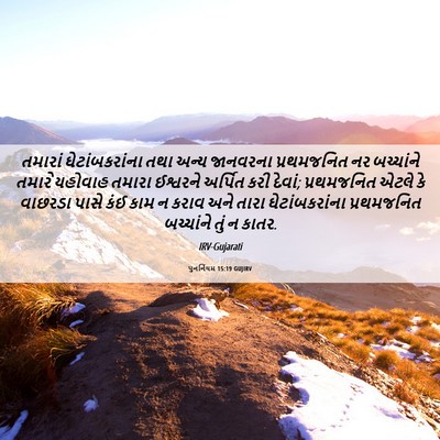 Picture 06 - પુનર્નિયમ 15:19 GUJIRV - તમારાં - Bible Verse Picture