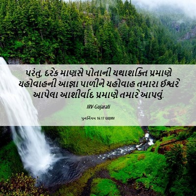 Picture 06 - પુનર્નિયમ 16:17 GUJIRV - પરંતુ, દરેક માણસે - Bible Verse Picture