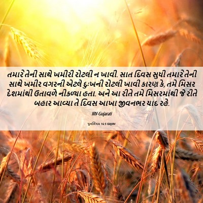Picture 06 - પુનર્નિયમ 16:3 GUJIRV - તમારે તેની સાથે - Bible Verse Picture