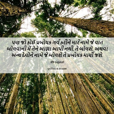 Picture 06 - પુનર્નિયમ 18:20 GUJIRV - પણ જો કોઈ પ્રબોધક - Bible Verse Picture