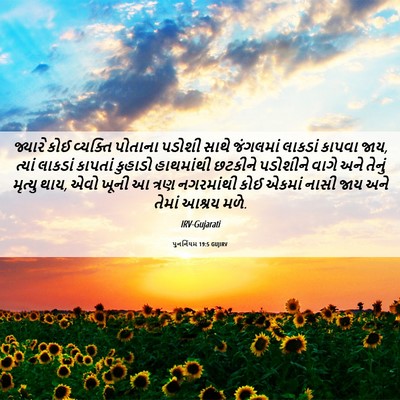 Picture 06 - પુનર્નિયમ 19:5 GUJIRV - જ્યારે કોઈ - Bible Verse Picture
