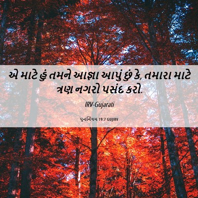 Picture 06 - પુનર્નિયમ 19:7 GUJIRV - એ માટે હું તમને - Bible Verse Picture