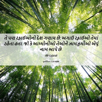 Picture 06 - પુનર્નિયમ 2:20 GUJIRV - તે પણ રફાઈઓનો દેશ - Bible Verse Picture
