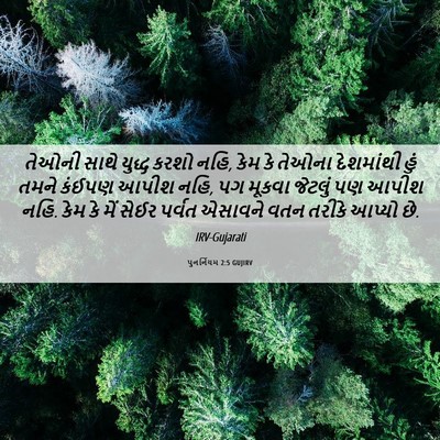 Picture 06 - પુનર્નિયમ 2:5 GUJIRV - તેઓની સાથે યુદ્ધ - Bible Verse Picture