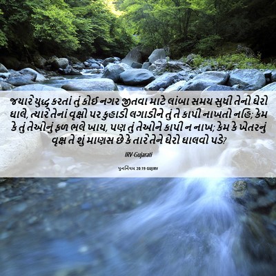Picture 06 - પુનર્નિયમ 20:19 GUJIRV - જયારે યુદ્ધ કરતાં - Bible Verse Picture