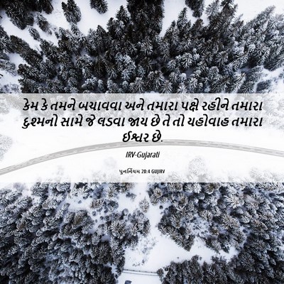 Picture 06 - પુનર્નિયમ 20:4 GUJIRV - કેમ કે તમને બચાવવા - Bible Verse Picture