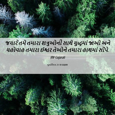 Picture 06 - પુનર્નિયમ 21:10 GUJIRV - જયારે તમે તમારા - Bible Verse Picture