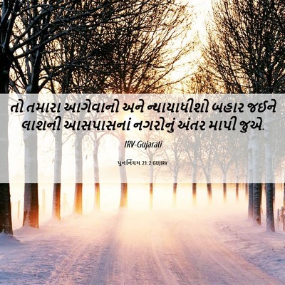 Picture 06 - પુનર્નિયમ 21:2 GUJIRV - તો તમારા આગેવાનો - Bible Verse Picture