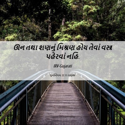 Picture 06 - પુનર્નિયમ 22:11 GUJIRV - ઊન તથા શણનું - Bible Verse Picture