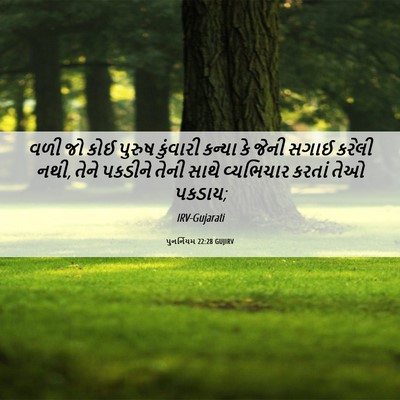Picture 06 - પુનર્નિયમ 22:28 GUJIRV - વળી જો કોઈ પુરુષ - Bible Verse Picture