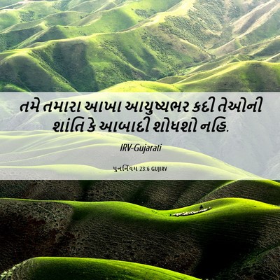 Picture 06 - પુનર્નિયમ 23:6 GUJIRV - તમે તમારા આખા - Bible Verse Picture