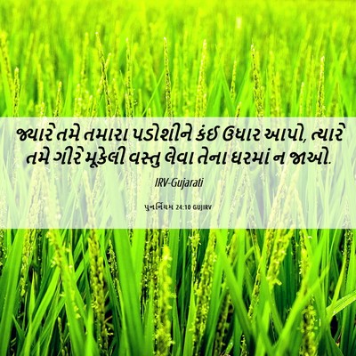 Picture 06 - પુનર્નિયમ 24:10 GUJIRV - જ્યારે તમે તમારા - Bible Verse Picture