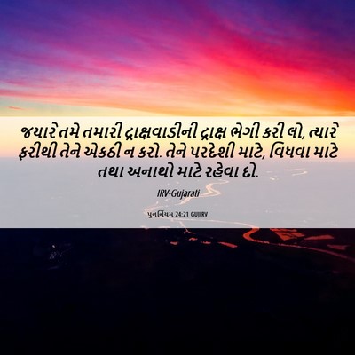 Picture 06 - પુનર્નિયમ 24:21 GUJIRV - જયારે તમે તમારી - Bible Verse Picture