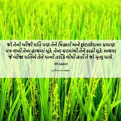 Picture 06 - પુનર્નિયમ 24:3 GUJIRV - જો તેનો બીજો પતિ પણ - Bible Verse Picture