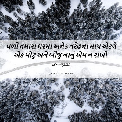 Picture 06 - પુનર્નિયમ 25:14 GUJIRV - વળી તમારા ઘરમાં - Bible Verse Picture