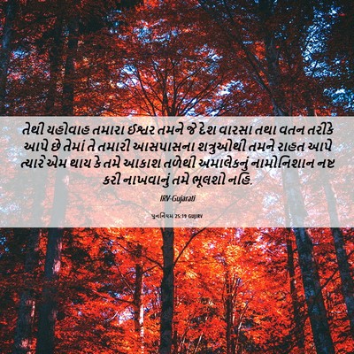 Picture 06 - પુનર્નિયમ 25:19 GUJIRV - તેથી યહોવાહ તમારા - Bible Verse Picture