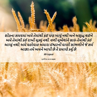 Picture 06 - પુનર્નિયમ 26:14 GUJIRV - શોકના સમયમાં અમે - Bible Verse Picture