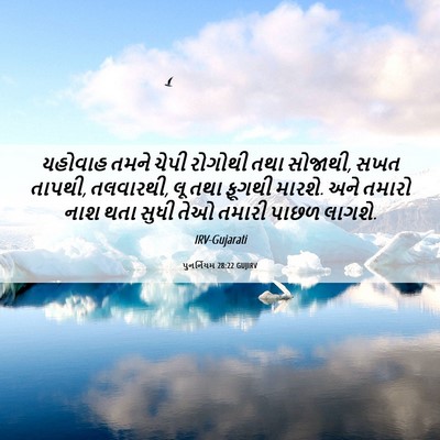Picture 06 - પુનર્નિયમ 28:22 GUJIRV - યહોવાહ તમને ચેપી - Bible Verse Picture