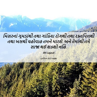 Picture 06 - પુનર્નિયમ 28:27 GUJIRV - મિસરનાં ગૂમડાંથી - Bible Verse Picture