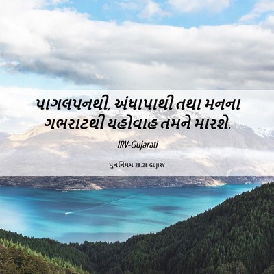 Picture 06 - પુનર્નિયમ 28:28 GUJIRV - પાગલપનથી, - Bible Verse Picture