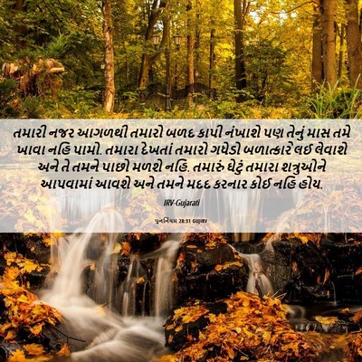 Picture 06 - પુનર્નિયમ 28:31 GUJIRV - તમારી નજર આગળથી - Bible Verse Picture