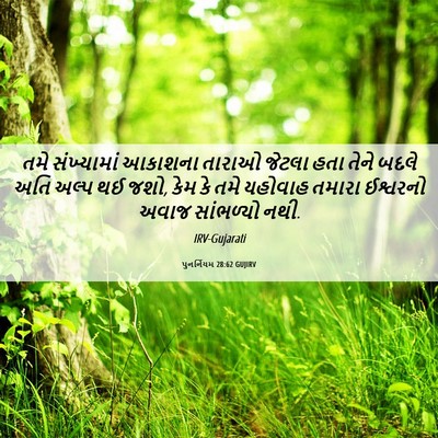 Picture 06 - પુનર્નિયમ 28:62 GUJIRV - તમે સંખ્યામાં - Bible Verse Picture