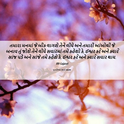 Picture 06 - પુનર્નિયમ 28:67 GUJIRV - તમારા મનમાં જે બીક - Bible Verse Picture