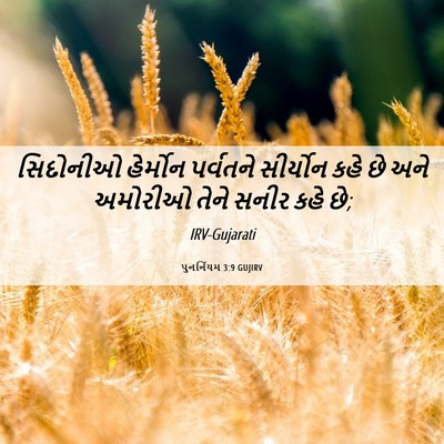 Picture 06 - પુનર્નિયમ 3:9 GUJIRV - સિદોનીઓ હેર્મોન - Bible Verse Picture