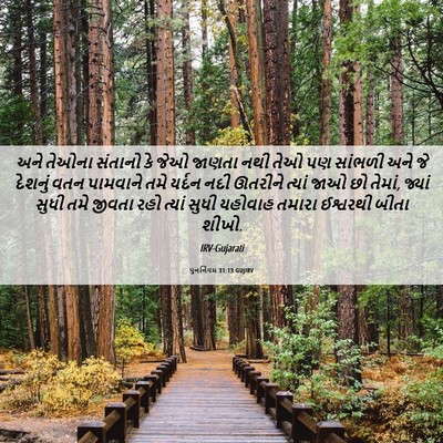Picture 06 - પુનર્નિયમ 31:13 GUJIRV - અને તેઓના સંતાનો - Bible Verse Picture
