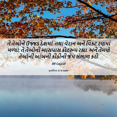 Picture 06 - પુનર્નિયમ 32:10 GUJIRV - તે તેઓને ઉજ્જડ - Bible Verse Picture