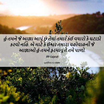 Picture 06 - પુનર્નિયમ 4:2 GUJIRV - હું તમને જે આજ્ઞા - Bible Verse Picture