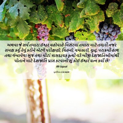 Picture 06 - પુનર્નિયમ 4:34 GUJIRV - અથવા જે સર્વ તમારા - Bible Verse Picture