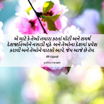 Picture 06 - પુનર્નિયમ 4:38 GUJIRV - એ માટે કે તેઓ તમારા - Bible Verse Picture