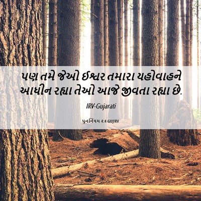 Picture 06 - પુનર્નિયમ 4:4 GUJIRV - પણ તમે જેઓ ઈશ્વર - Bible Verse Picture