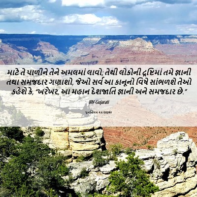 Picture 06 - પુનર્નિયમ 4:6 GUJIRV - માટે તે પાળીને - Bible Verse Picture
