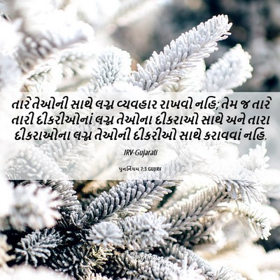Picture 06 - પુનર્નિયમ 7:3 GUJIRV - તારે તેઓની સાથે - Bible Verse Picture