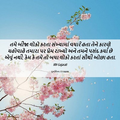 Picture 06 - પુનર્નિયમ 7:7 GUJIRV - તમે બીજા લોકો કરતા - Bible Verse Picture