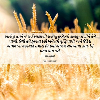 Picture 06 - પુનર્નિયમ 8:1 GUJIRV - આજે હું તમને જે - Bible Verse Picture