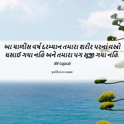 Picture 06 - પુનર્નિયમ 8:4 GUJIRV - આ ચાળીસ વર્ષ - Bible Verse Picture