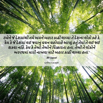 Picture 06 - પુનર્નિયમ 9:28 GUJIRV - રખેને જે દેશમાંથી - Bible Verse Picture
