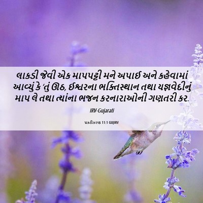 Picture 06 - પ્રકટીકરણ 11:1 GUJIRV - લાકડી જેવી એક - Bible Verse Picture