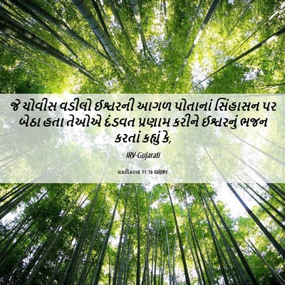 Picture 06 - પ્રકટીકરણ 11:16 GUJIRV - જે ચોવીસ વડીલો - Bible Verse Picture